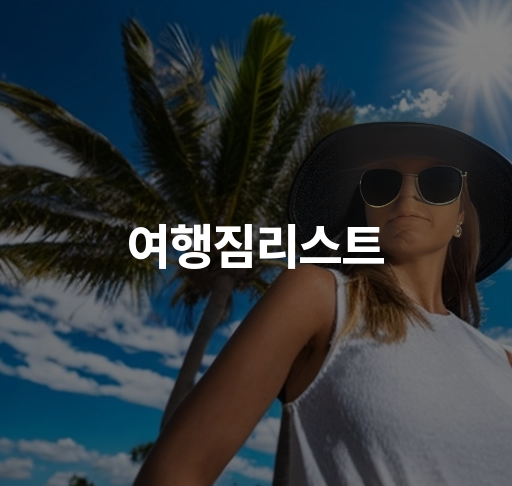 여행짐리스트  여행용품 체크리스트 및 패킹 팁 수하물 정리 방법